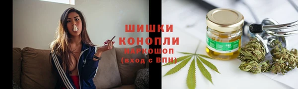 индика Абдулино