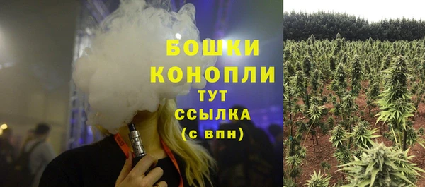 ГАЛЛЮЦИНОГЕННЫЕ ГРИБЫ Абинск