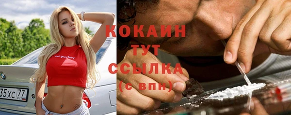 индика Абдулино
