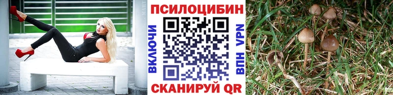 Галлюциногенные грибы мицелий  Магнитогорск 