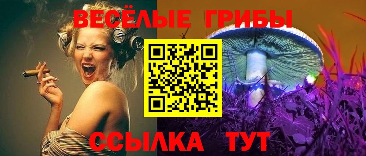 Псилоцибиновые грибы мицелий  Вход с VPN  Магнитогорск  Псилоцибиновые грибы Psilocybine cubensis 